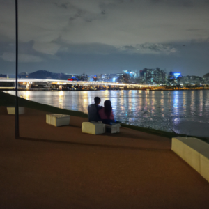 seoul, han-river, night, Couple